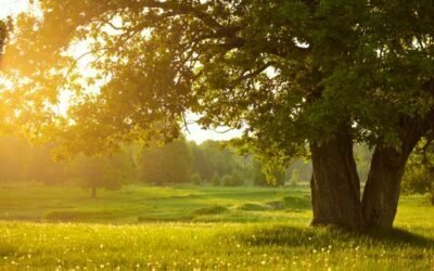 ¿Se siente CANSADO fácilmente o con frecuencia?