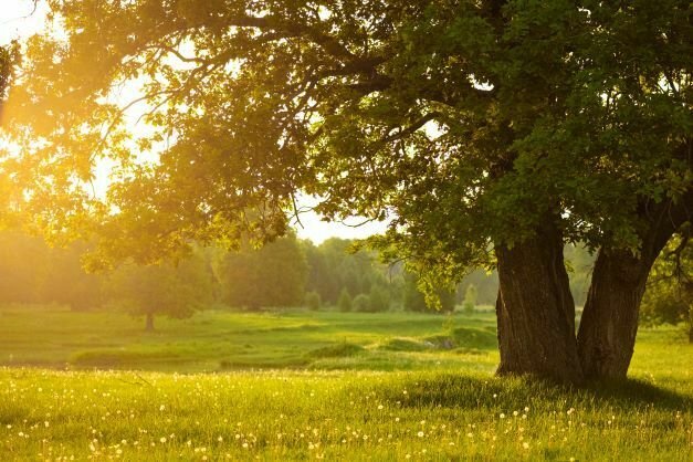 Tired all the time? You might be deficient in B12