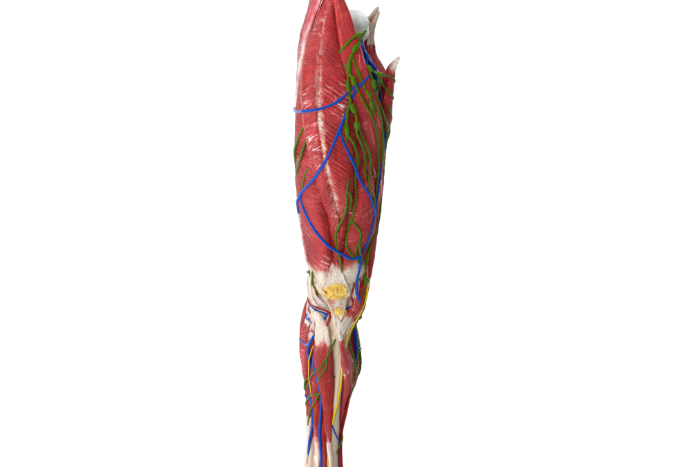 Top Four Causes of Knee Pain